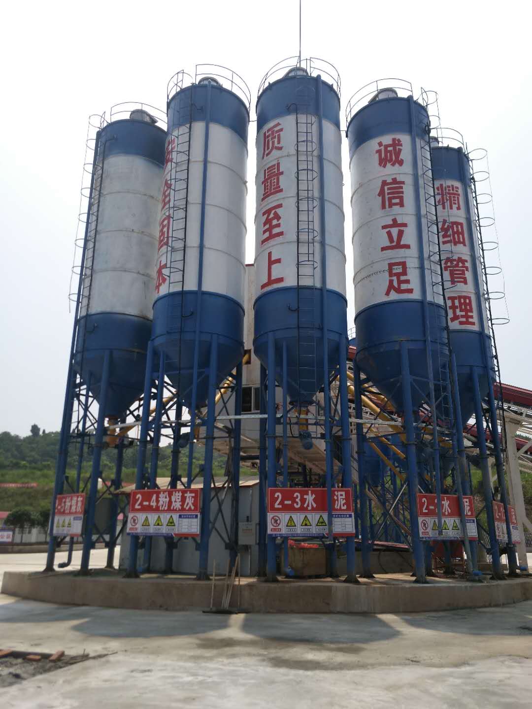 成功案例